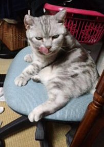 こっちもゲーット・.jpg