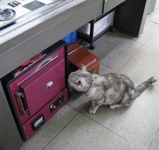 チェック中.jpg