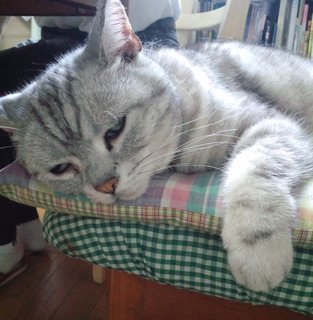 今日も暑い.jpg