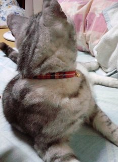 本当は,,,.jpg