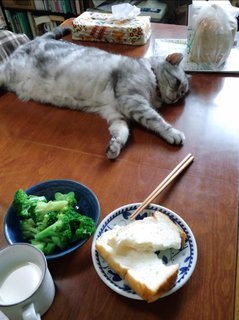 箸だって.jpg